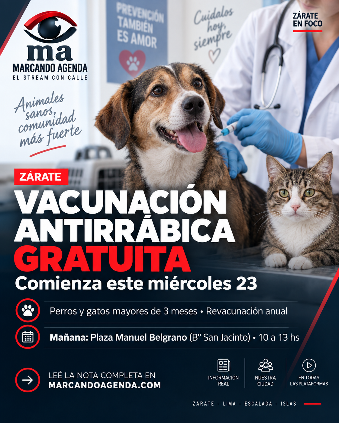 Vacunación antirrábica gratuita en Zárate para perros y gatos, con operativos en distintos puntos de la ciudad.