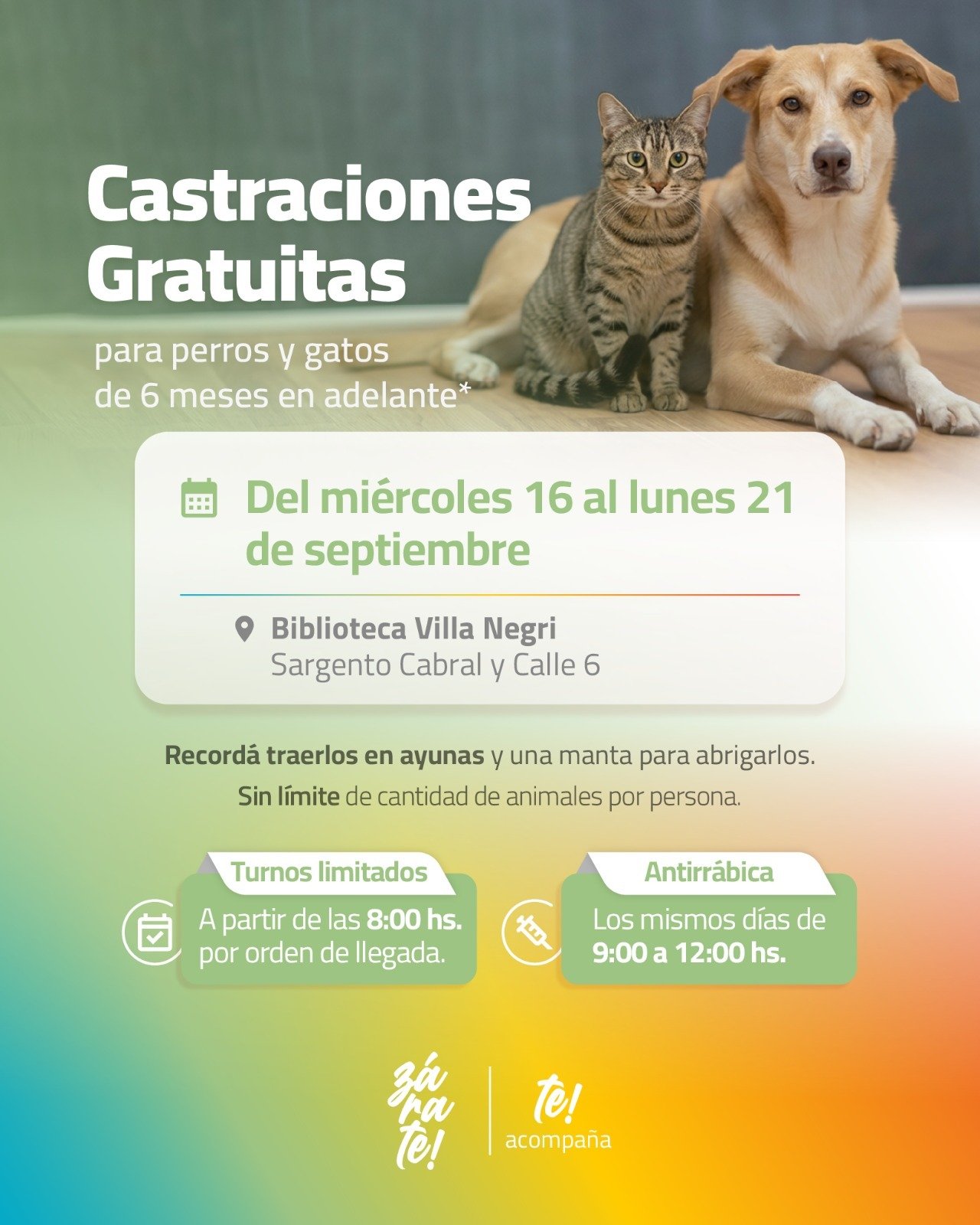 Castraciones gratuitas para perros y gatos en Villa Negri, Zárate